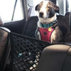 Max's "Backseat Boundary" Safety Net