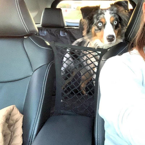 Max's "Backseat Boundary" Safety Net